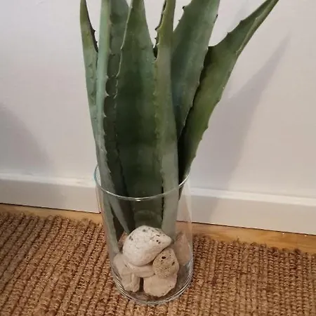 Mikula Apartamento Makarska